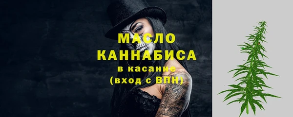 молекула духа Осинники