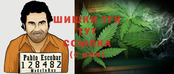 гашик Галич