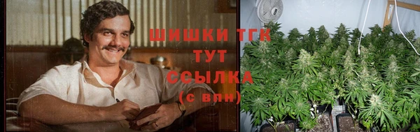 гашик Галич