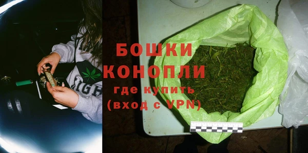 молекула духа Осинники
