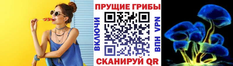 ссылка на мегу зеркало  Красный Холм  Псилоцибиновые грибы Magic Shrooms 